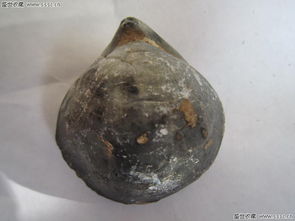 古玉小拍場(chǎng) 方寸天地間的寶藏之旅